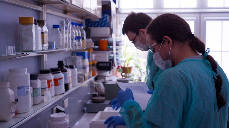 Великая Польша/ Первый польский тест на коронавирус поступит в производство на следующей неделе