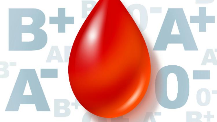 Силезия/ «Кровавая олимпиада» призвана побудить студентов сдавать кровь.