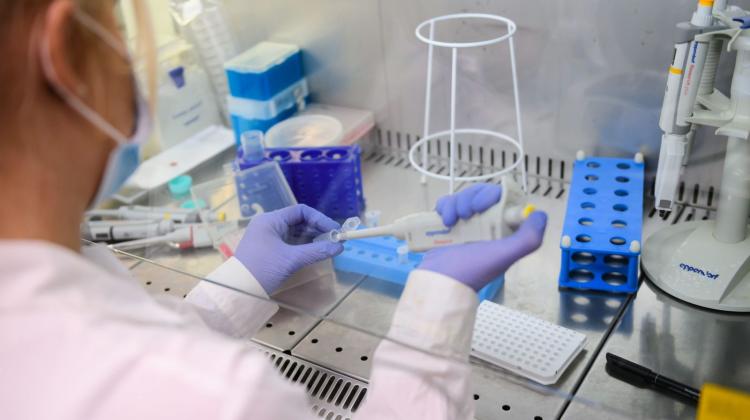 Великая Польша/ Первые 10 тысяч фрагменты польского теста на SARS-CoV-2 на следующей неделе