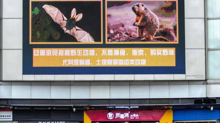 Проф. Тряновский о роли животных и людей в распространении вирусов